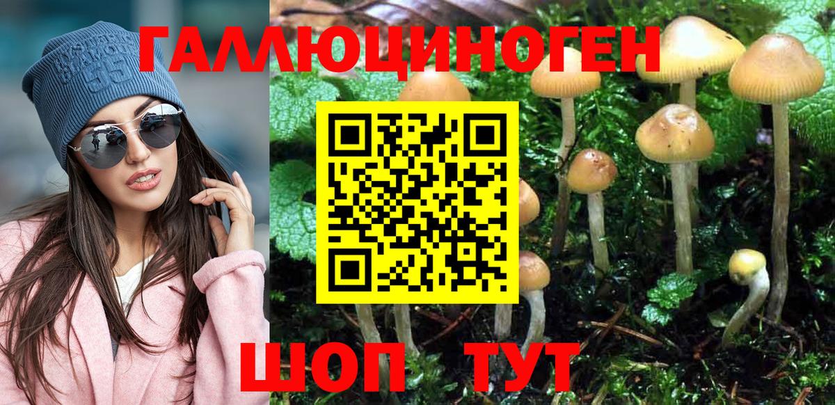 Галлюциногенные грибы MAGIC MUSHROOMS Междуреченск